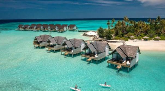 Maldives Diving Resorts and Scuba Diving Maldives: A Complete Guide
