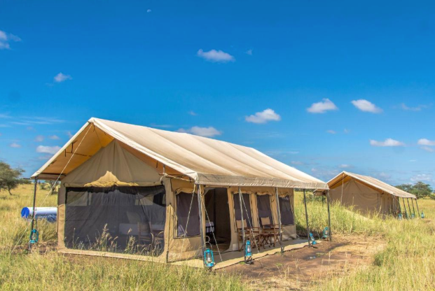 Serengeti Tented Camp: The Complete Guide to Sleeping Under Canvas on the Savannah